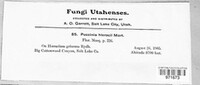 Image Associated With the Occurence